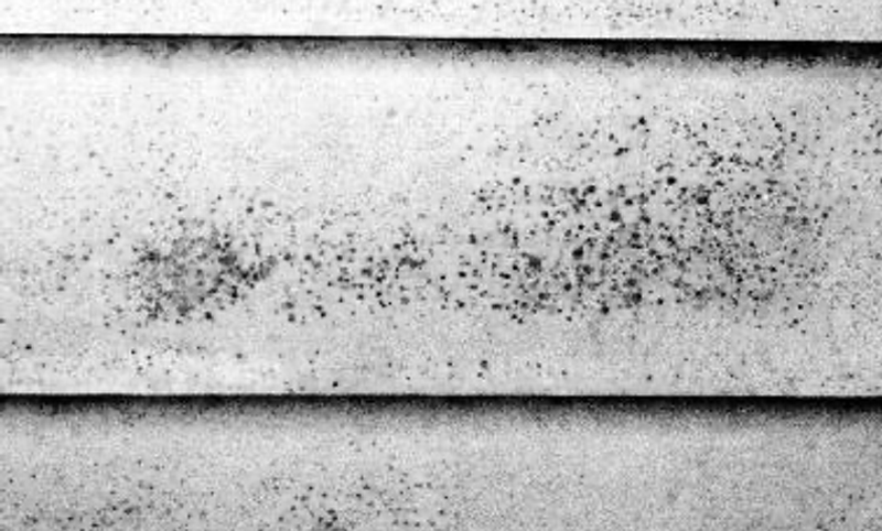 The role of Zinc White | Brouns & Co